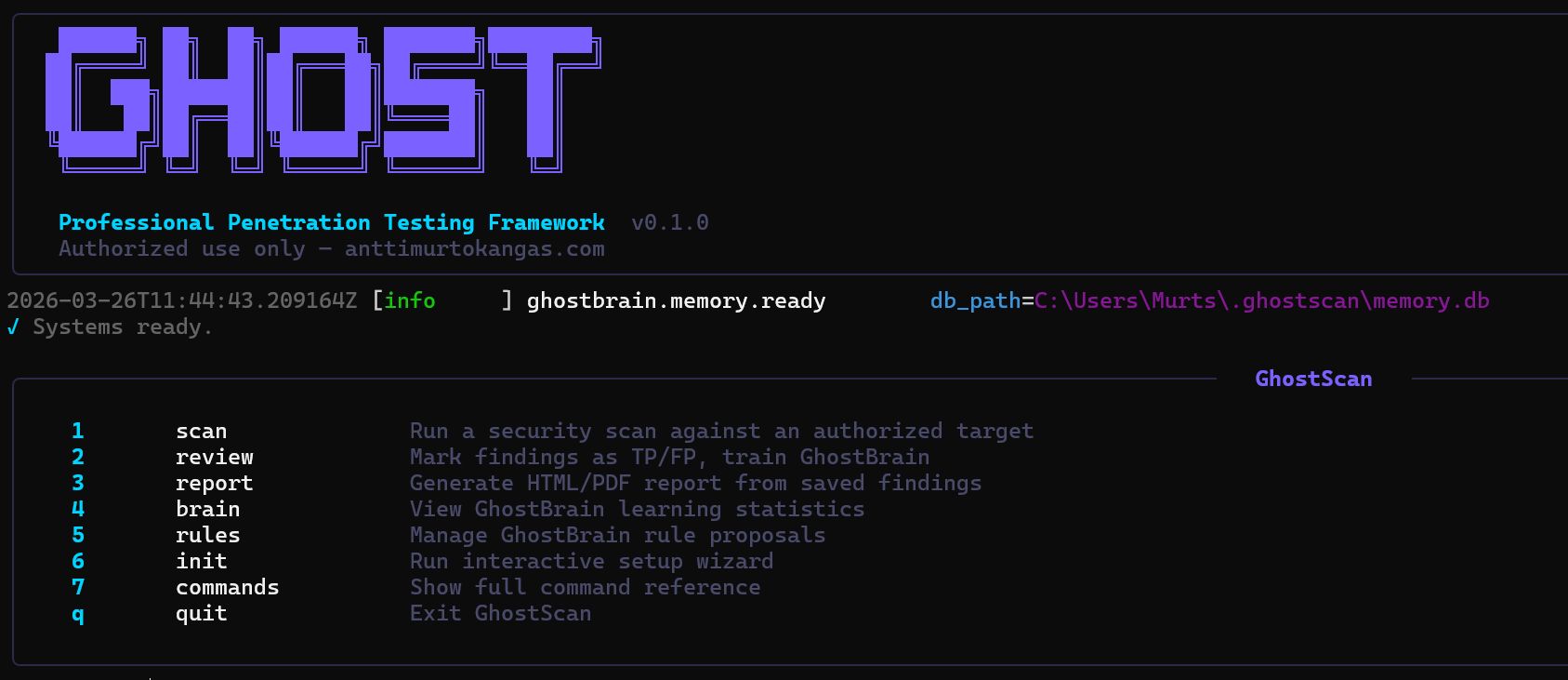 Pentesting tool screenshot